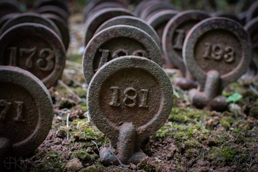 Mendip Hospital Cemetery Grave Markers Close